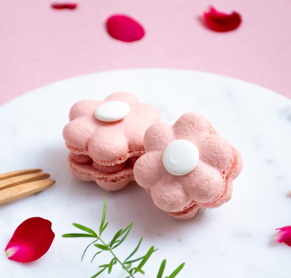 DSC_3101-2 DSC_3101-2